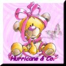 Hurricane im Web