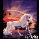 Hp von Tascha